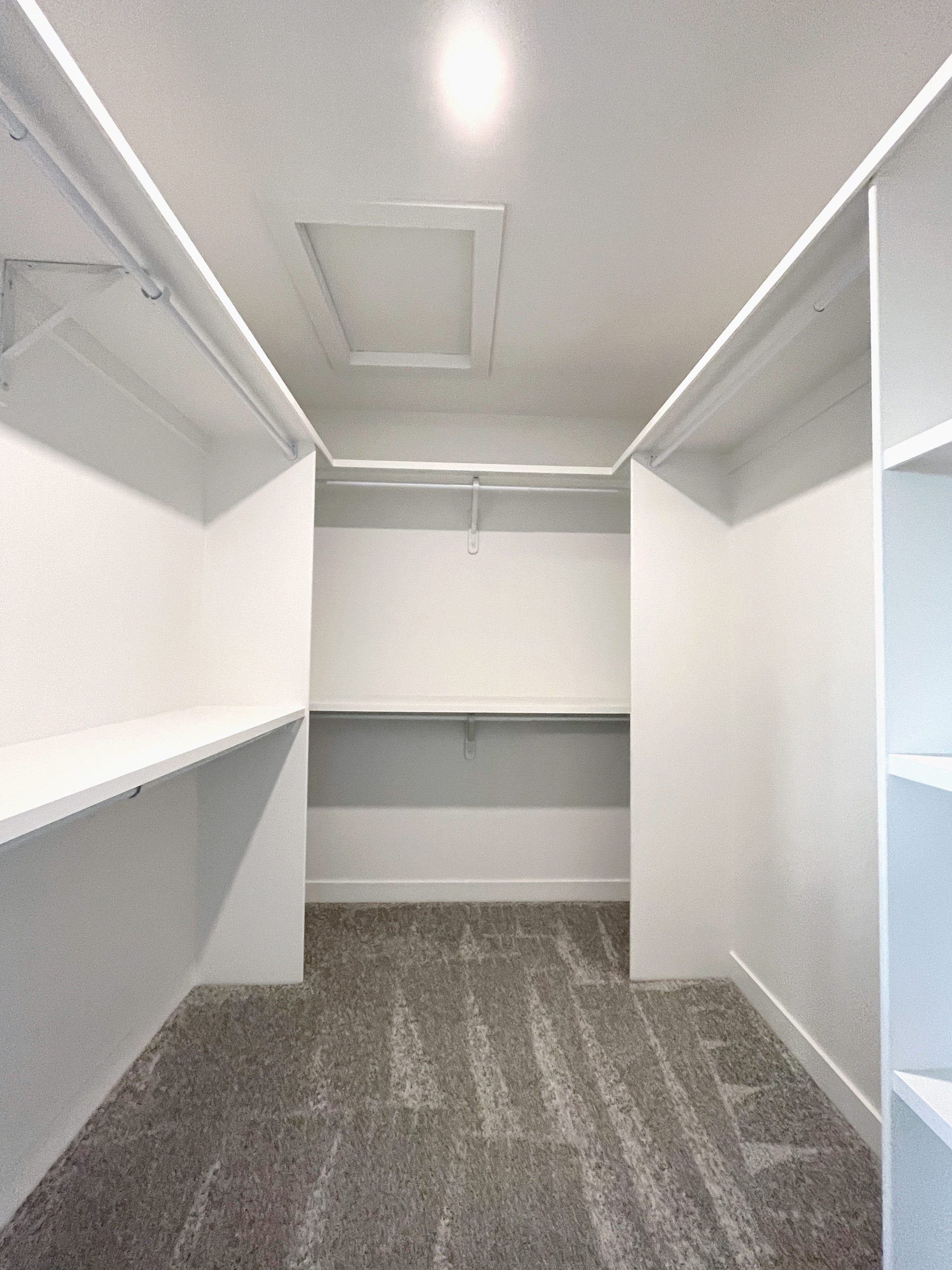 An empty white closet with a carpeted floor.